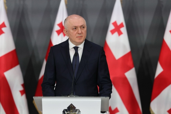 ქრთამის აღება, “ქოლცენტრები” და საბავშვო ბაღების მართვის სააგენტოს შესყიდვები - რა სასჯელი ემუქრება ლილუაშვილს