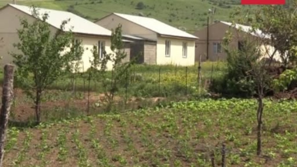 ახალსოფლის დევნილთა დასახლების საბავშვო ბაღის სასმელ წყალში ფეკალიები აღმოჩნდა