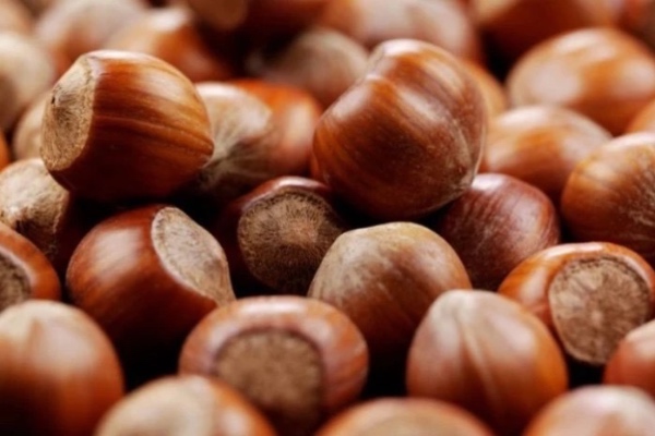 წელს თხილის საშუალო საექსპორტო ფასი 7.8 დოლარამდე გაიზარდა