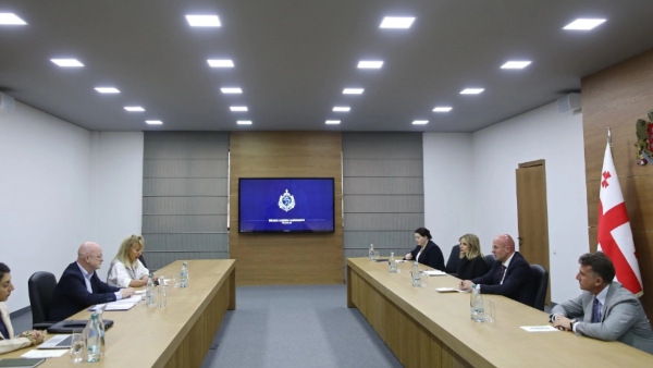 შინაგან საქმეთა მინისტრის მოადგილე ალან მიჩელს შეხვდა