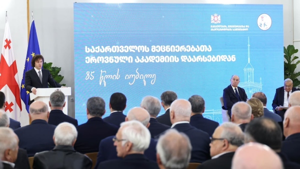 პრემიერ-მინისტრმა მეცნიერებათა ეროვნულ აკადემიას 85 წლის იუბილე მიულოცა