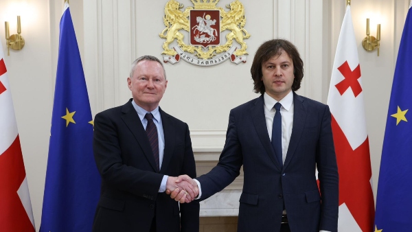 ირაკლი კობახიძე ევროპის საბჭოს ადამიანის უფლებათა კომისარს მაიკლ ო’ფლაერტის შეხვდა