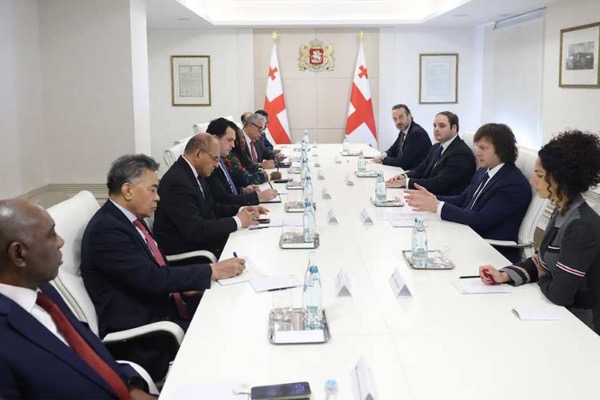 ირაკლი კობახიძე გაერო-სთან აკრედიტებულ სხვადასხვა ქვეყნის მუდმივ წარმომადგენლებს შეხვდა