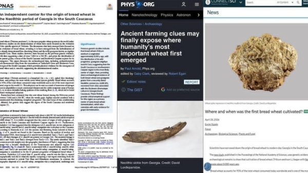 აშშ-ს მეცნიერებათა აკადემიის ჟურნალში საქართველოზე სტატია გამოქვეყნდა