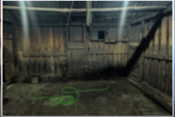 სამეგრელოში, იმერეთში, თერჯოლასა და ზესტაფონში არალეგალური სასაკლაოები გამოვლინდა– სეს