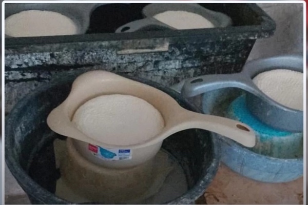 სურსათის სააგენტომ ოთხ ქალაქში არალეგალური რძის საწარმოები გამოავლინა - ობიექტები დაიხურა